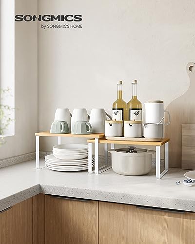 Kitchen Cabinet Organizers